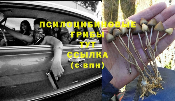 прущая мука Алзамай