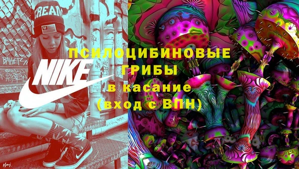 a pvp Алексин