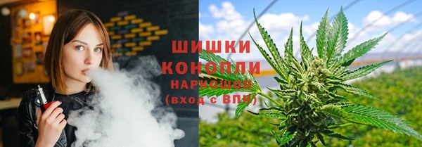 индика Алексеевка