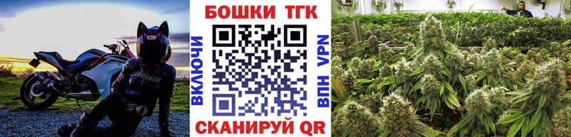 Марихуана план  купить закладку  Сясьстрой 
